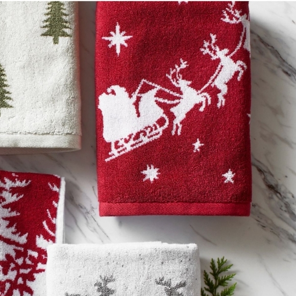 Pottery Barn Sleigh Bell Reversible Jacquard Towel Set - Picture 8 of 11